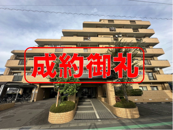 ダイアパレス江南